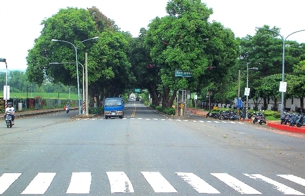 大學路與升學路口