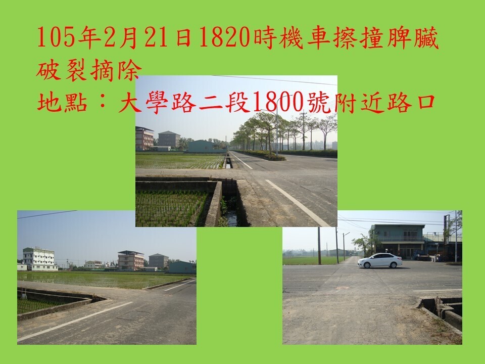 大學路二段旁水溝